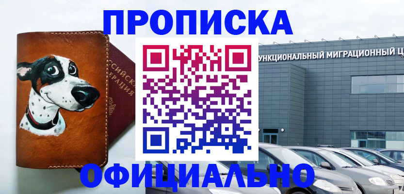временная прописка в Советской Гавани